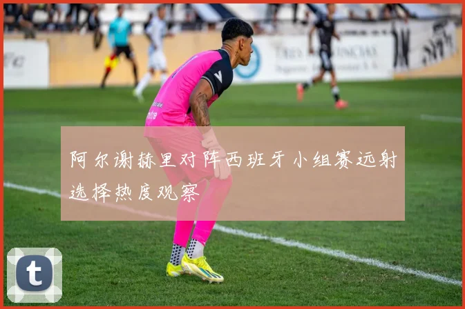 阿尔谢赫里对阵西班牙小组赛远射选择热度观察