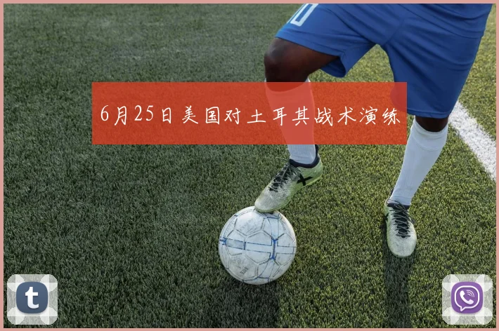 6月25日美国对土耳其战术演练